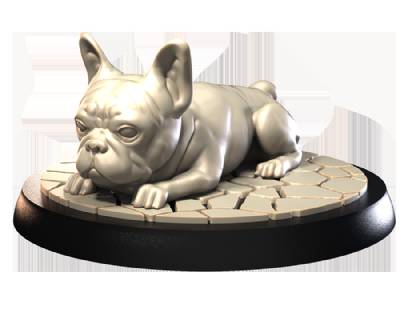 French Bulldogs (2)